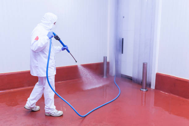 Best Winterizing Services  in Kensington, CA